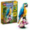 LEGO 31136 Exotische papegaai